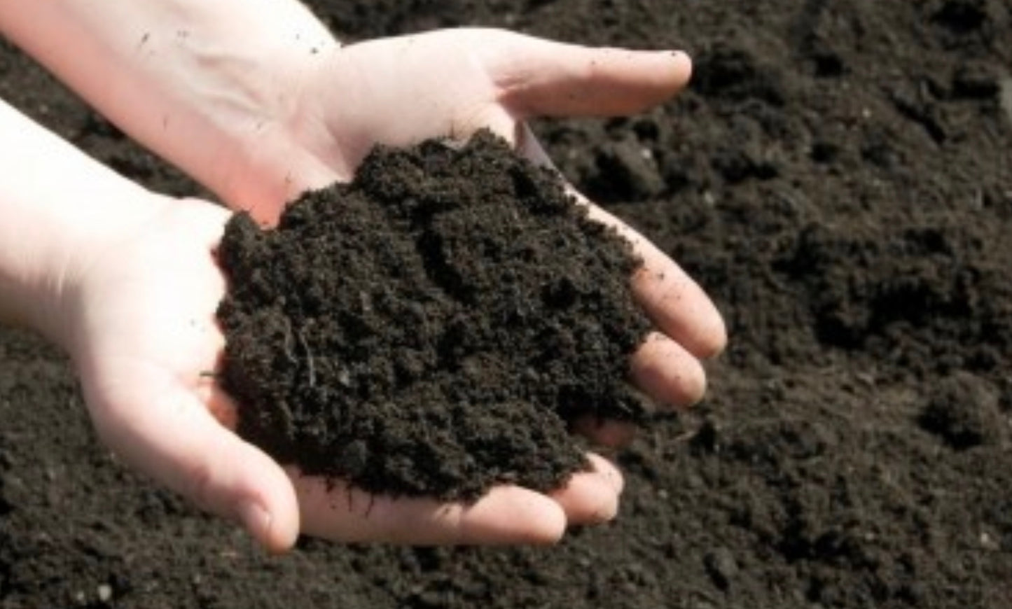 Premium Topsoil (per cubic yard)