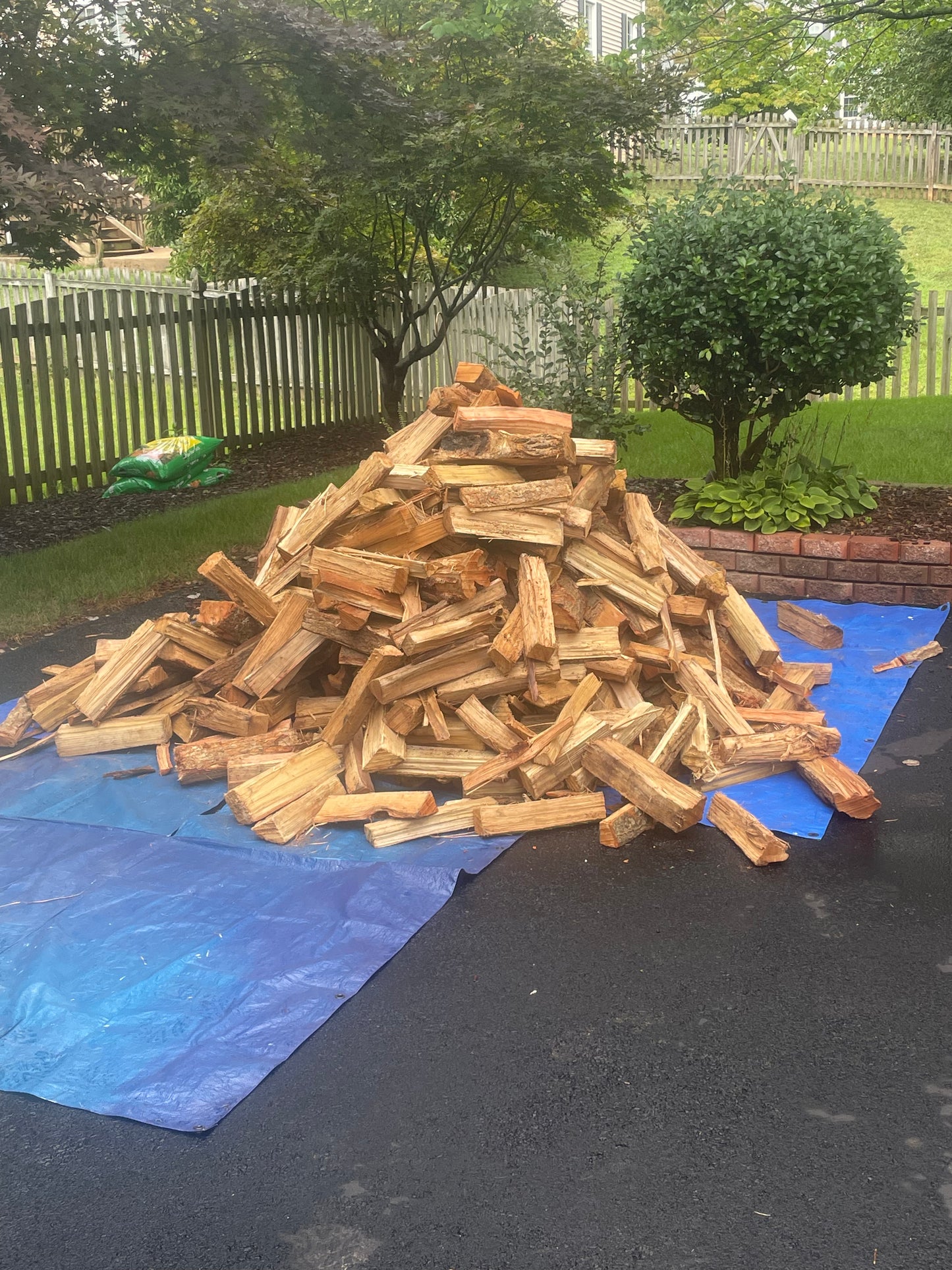 Five Star Premium Kiln Dried Mixed Hardwood Firewood